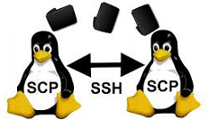 Copiar archivos a través de SSH con SCP de tu pc a tu Raspberry PI