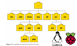 Organización de los directorios en tu Rasberry pi y en Linux