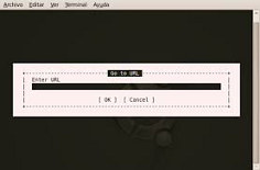 Como navegar por internet, en nuestro terminal de Raspberry