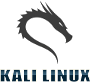 Kali Linux 1.1 para Raspberry Pi 2